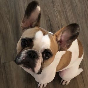 Meet your Posher, Olivia